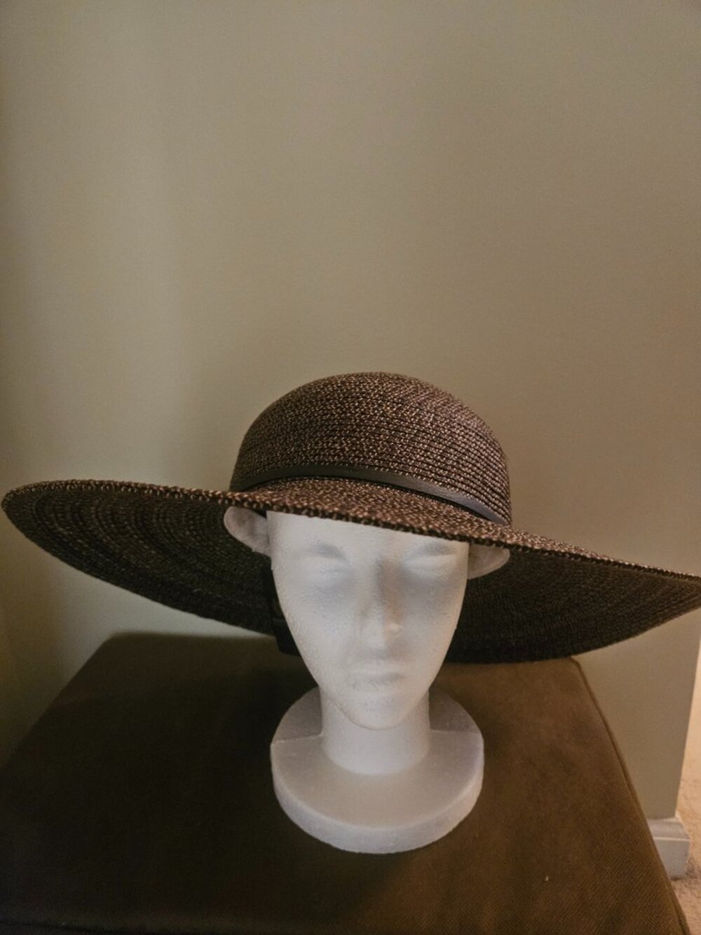 Goorin Brothers Large Brim Sun Hat